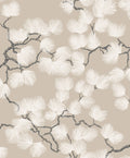 Pine, Beige