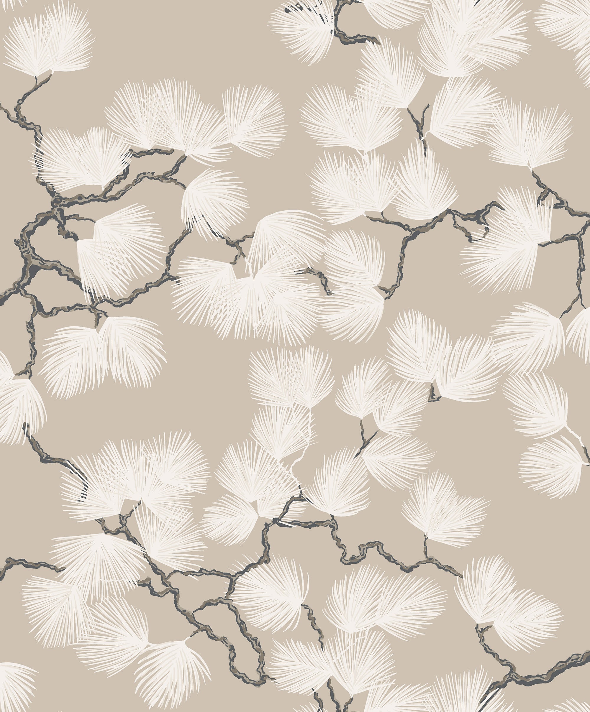 Pine, Beige