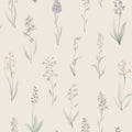 Alma, Lilac