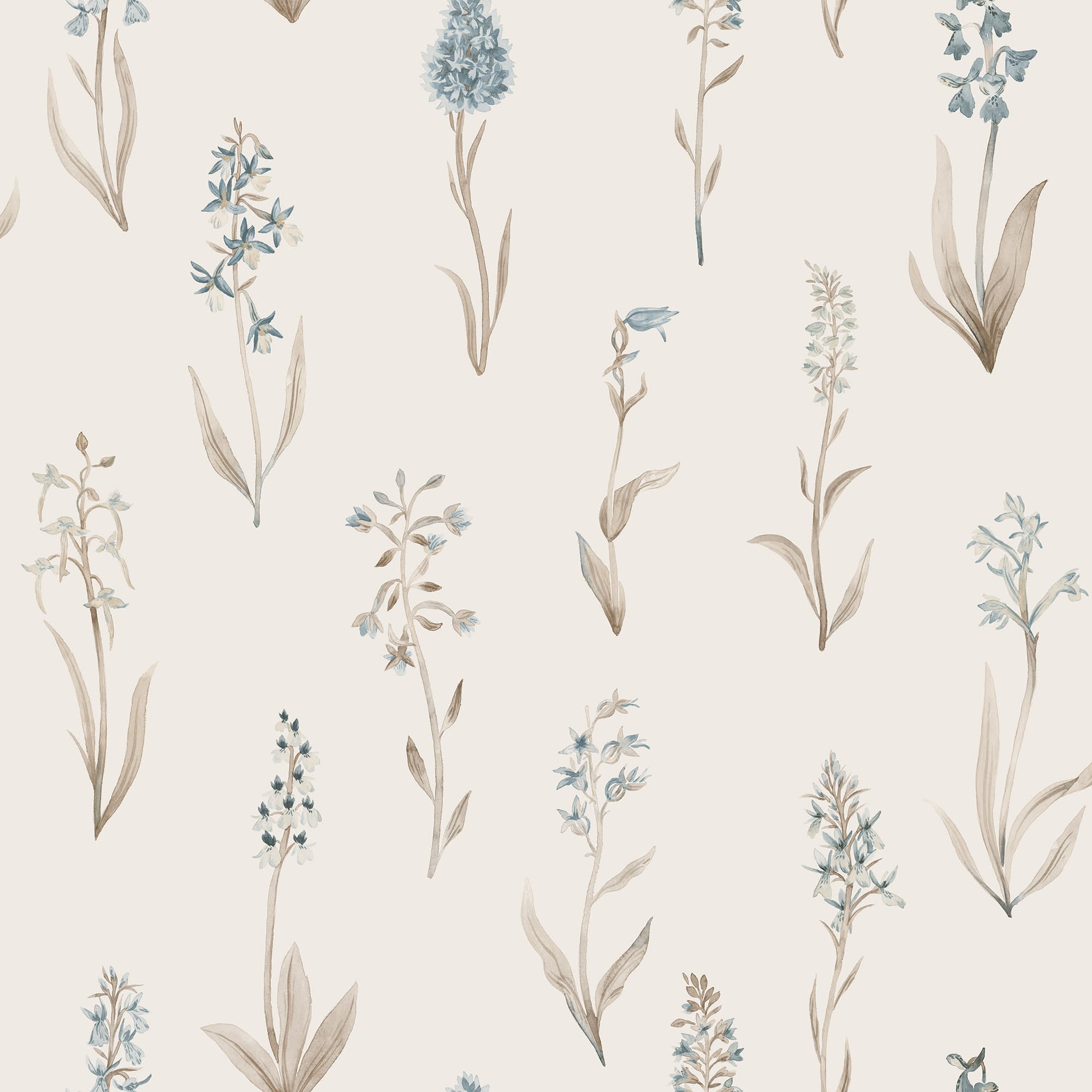 Alma, Misty Blue