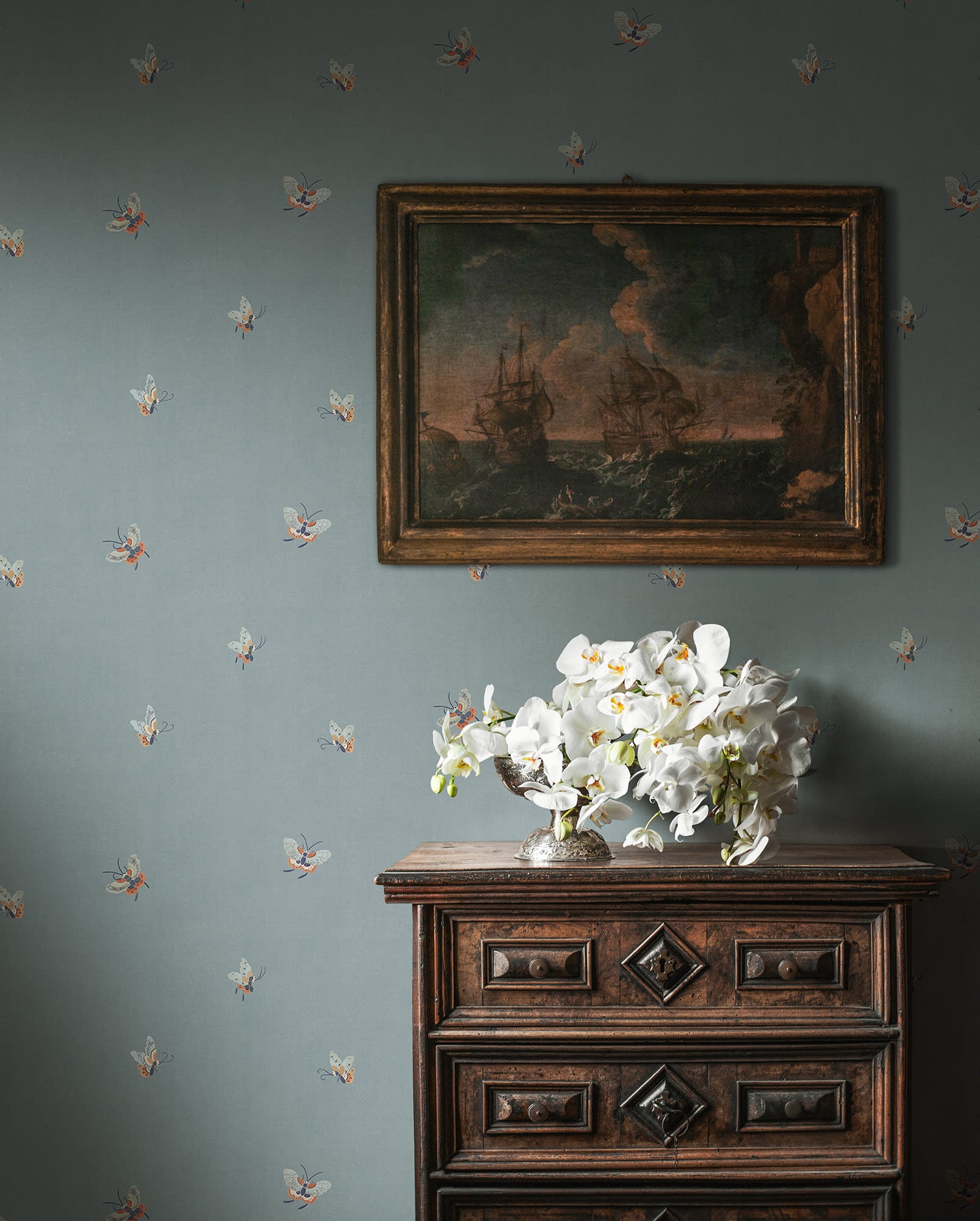 Butterflies, Misty Blue