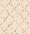 Ewa, Dusty Pink