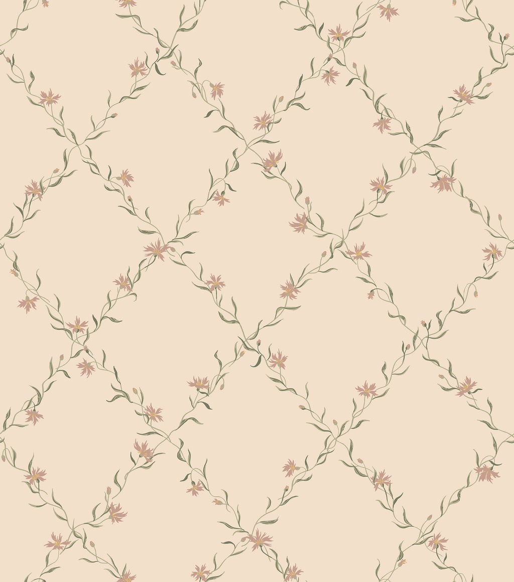 Ewa, Dusty Pink