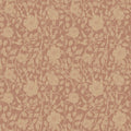 Anton, Terracotta