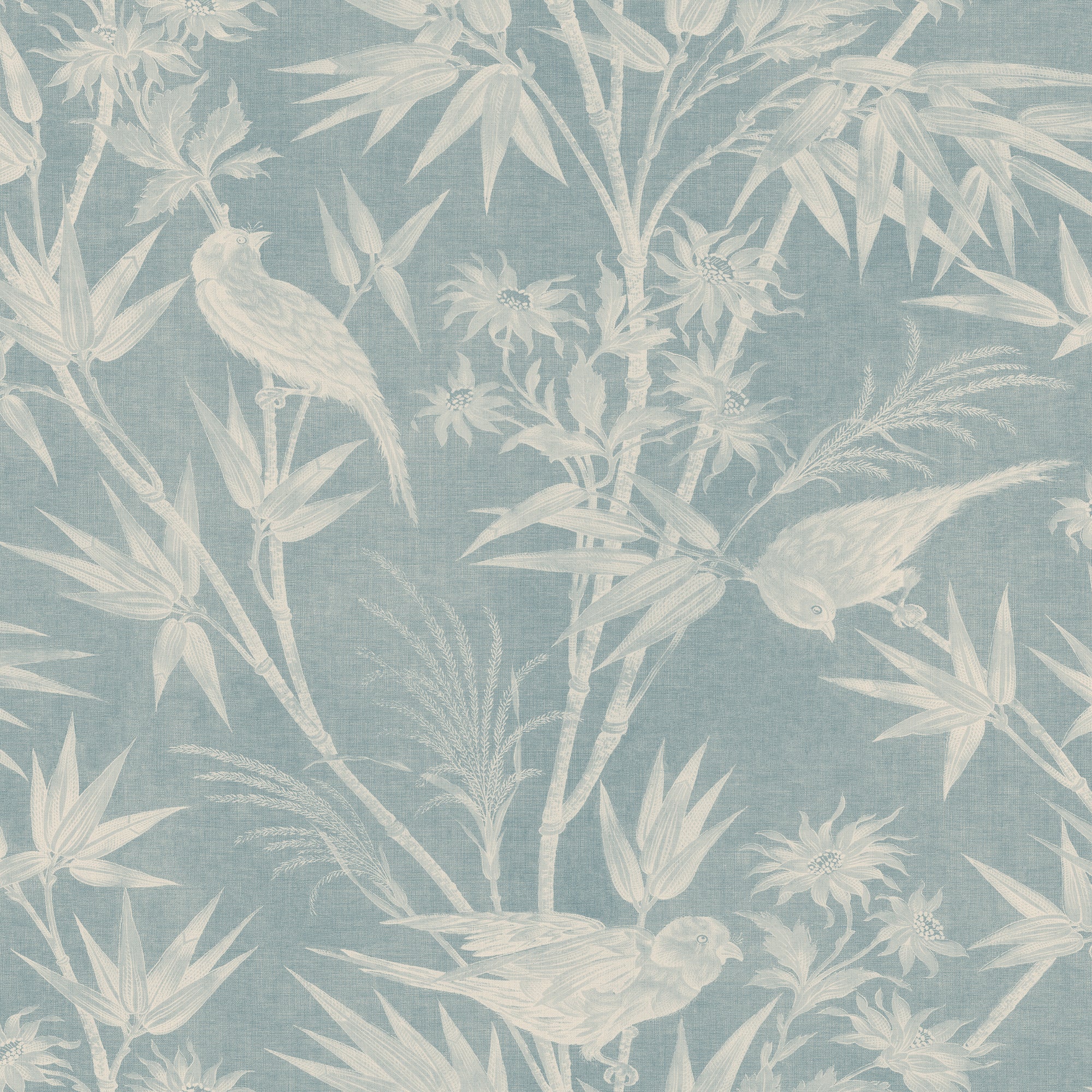 Celeste, Misty Blue