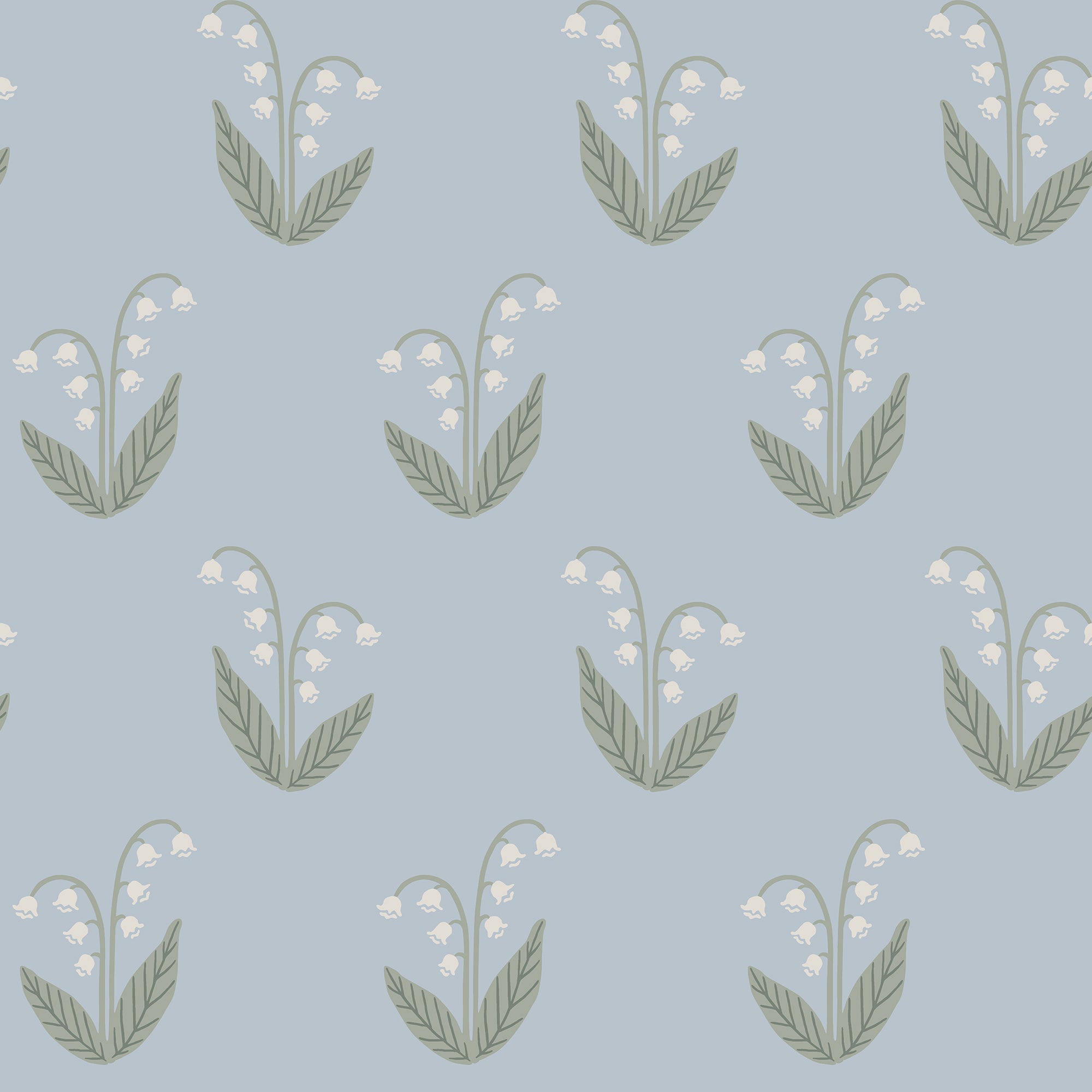 Lilly, Light Blue