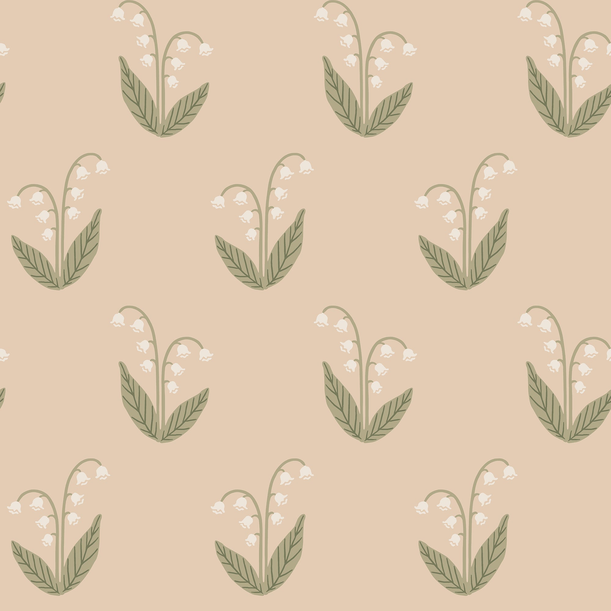 Lilly, Blush