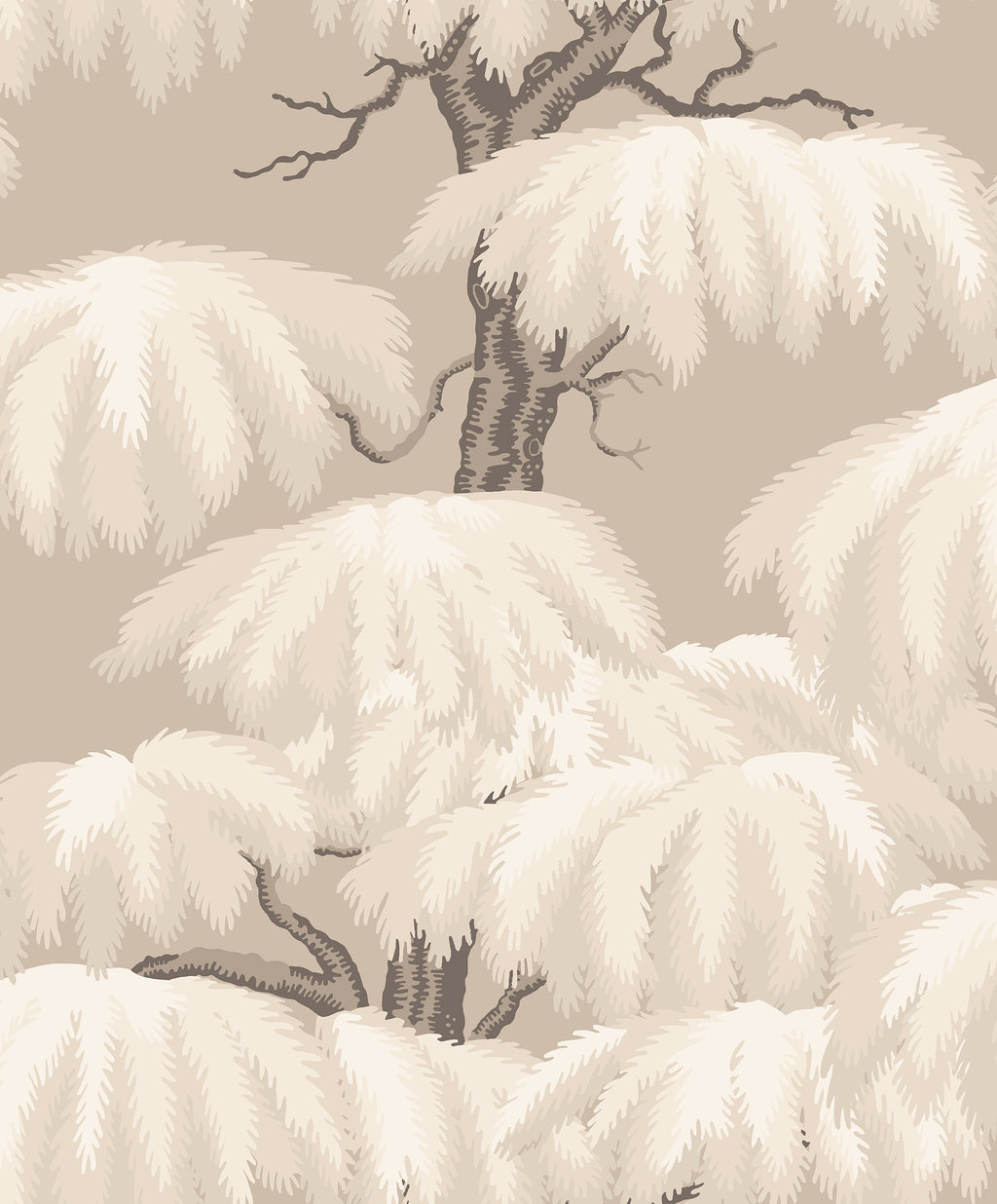 Alba, Beige