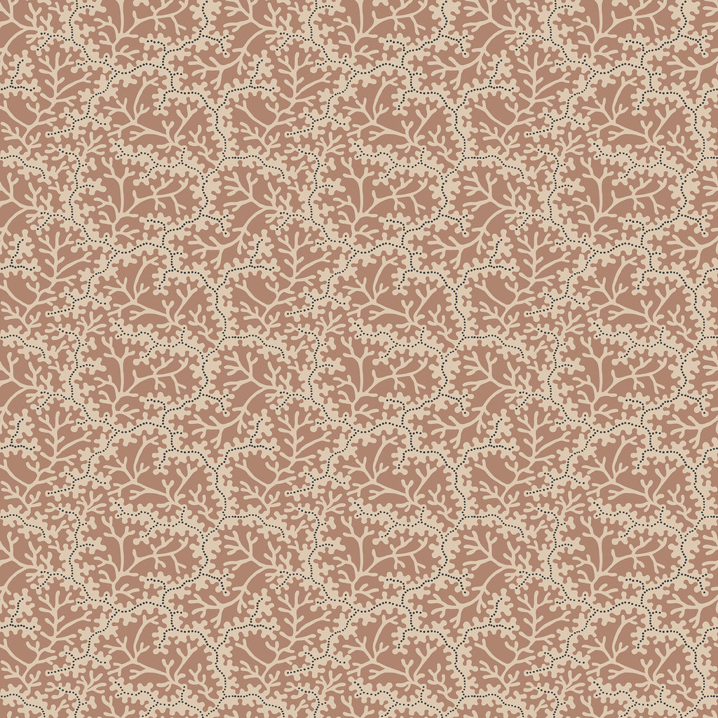 Coral, Terracotta