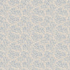 Coral, Light Blue