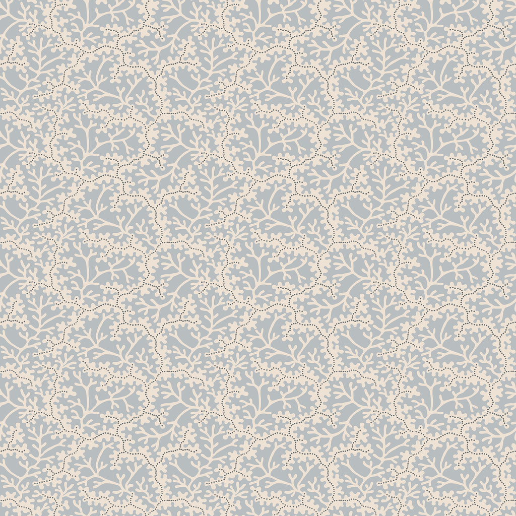 Coral, Light Blue