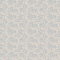 Coral, Light Blue