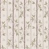 Bamboo - Spring