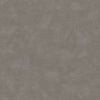 Shades Graphite