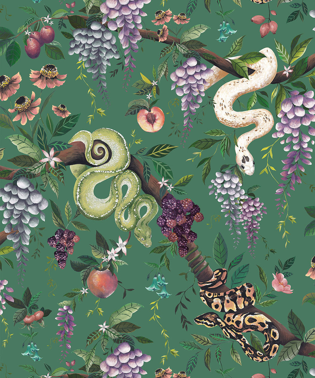 Snake Charmer Wallpaper, Arsenic