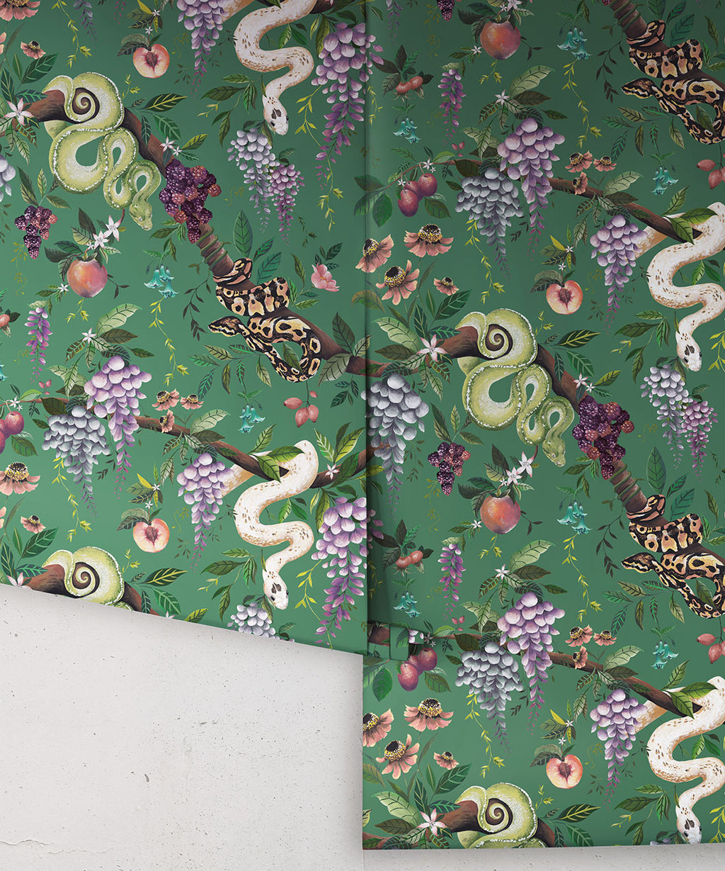 Snake Charmer Wallpaper, Arsenic