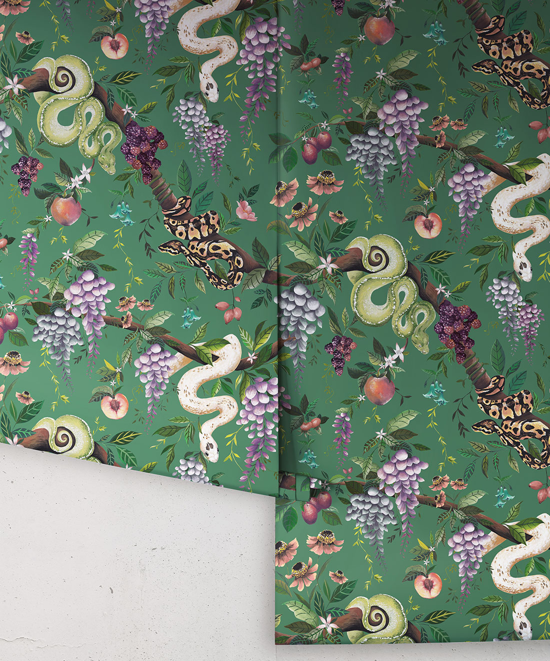 Snake Charmer Wallpaper, Arsenic