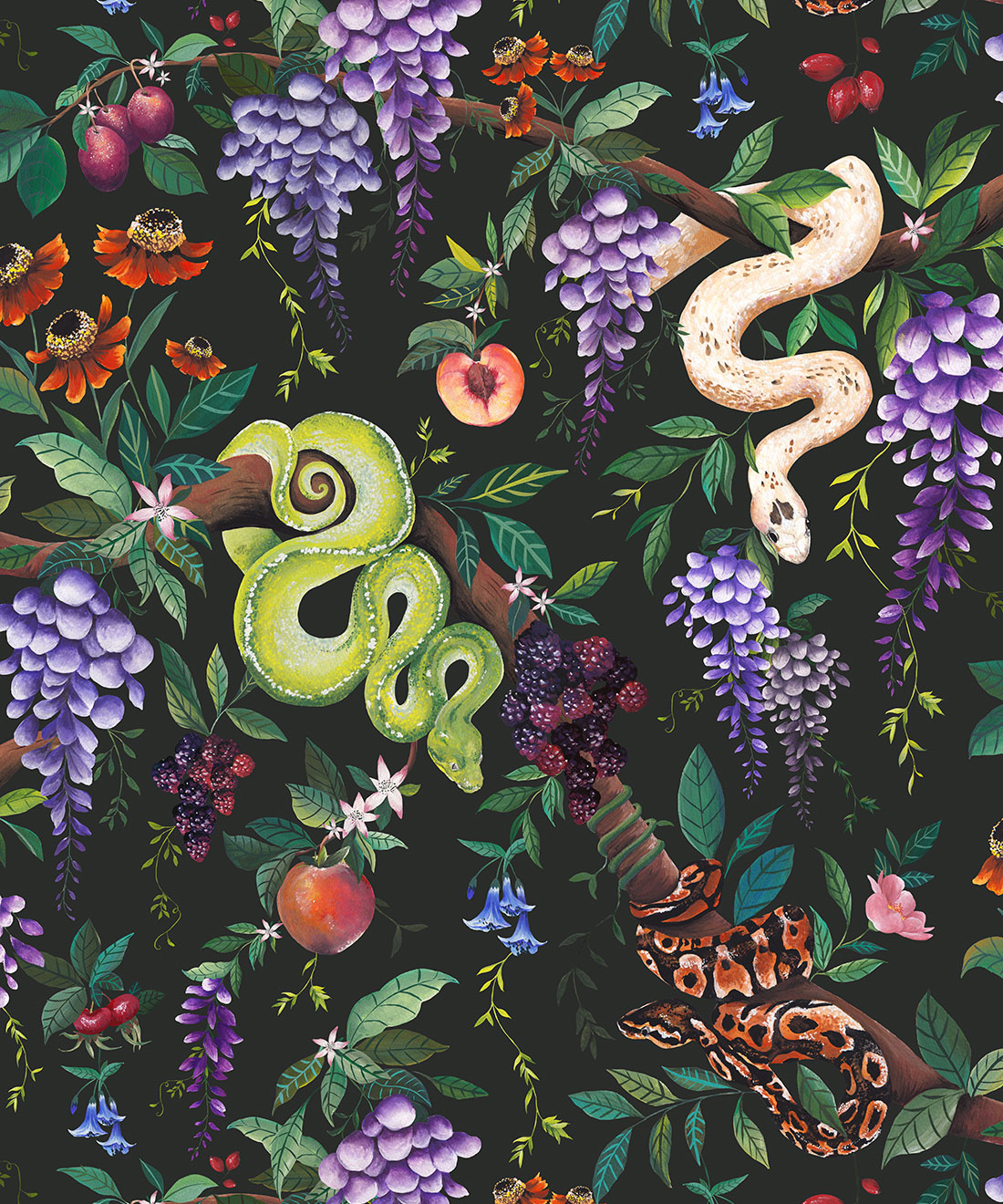 Snake Charmer Wallpaper, Original