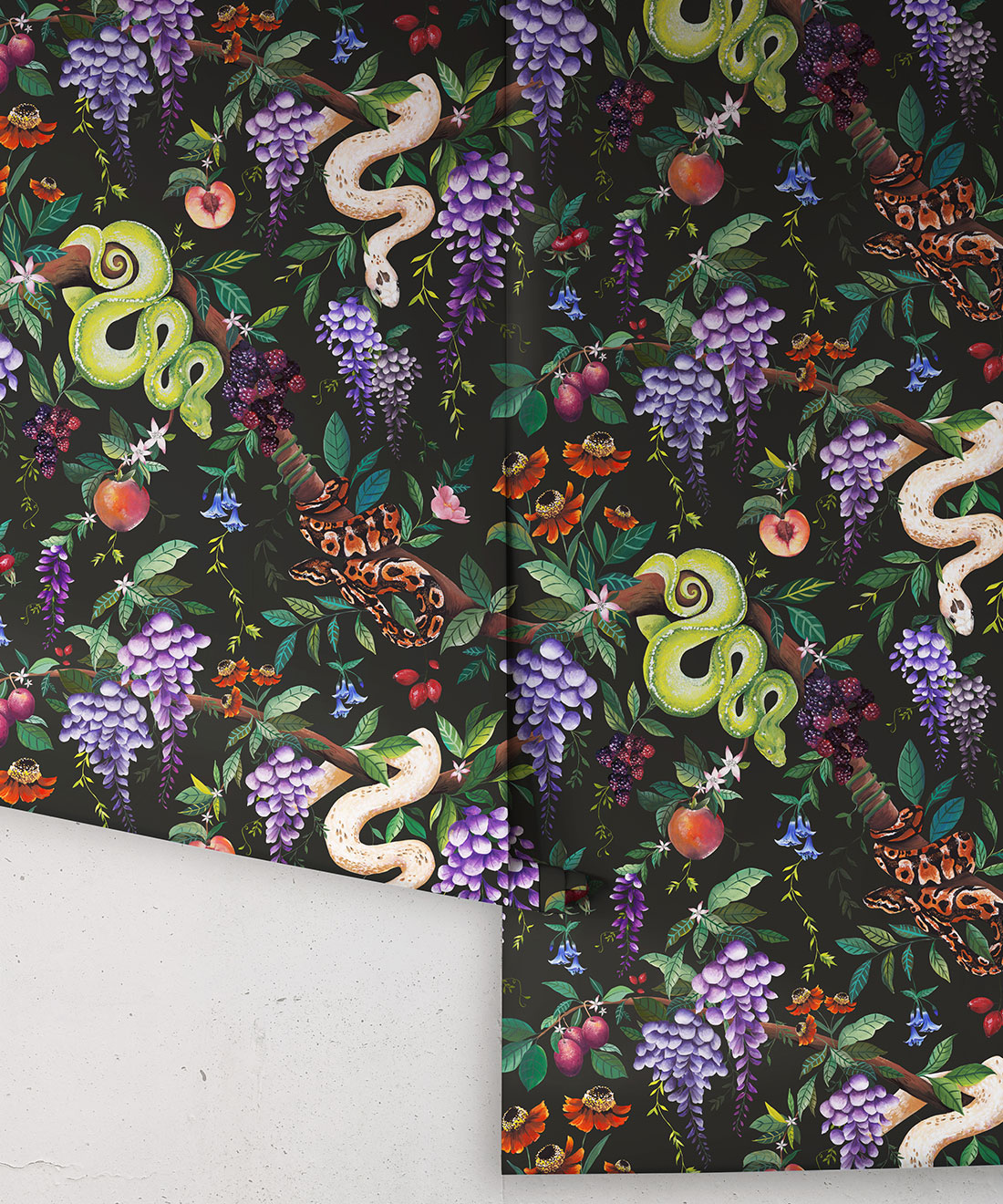 Snake Charmer Wallpaper, Original