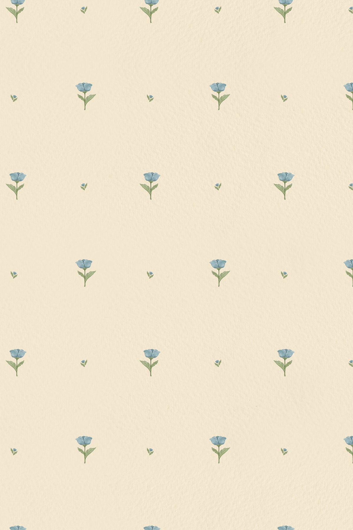 Tulips for Belle – Blue