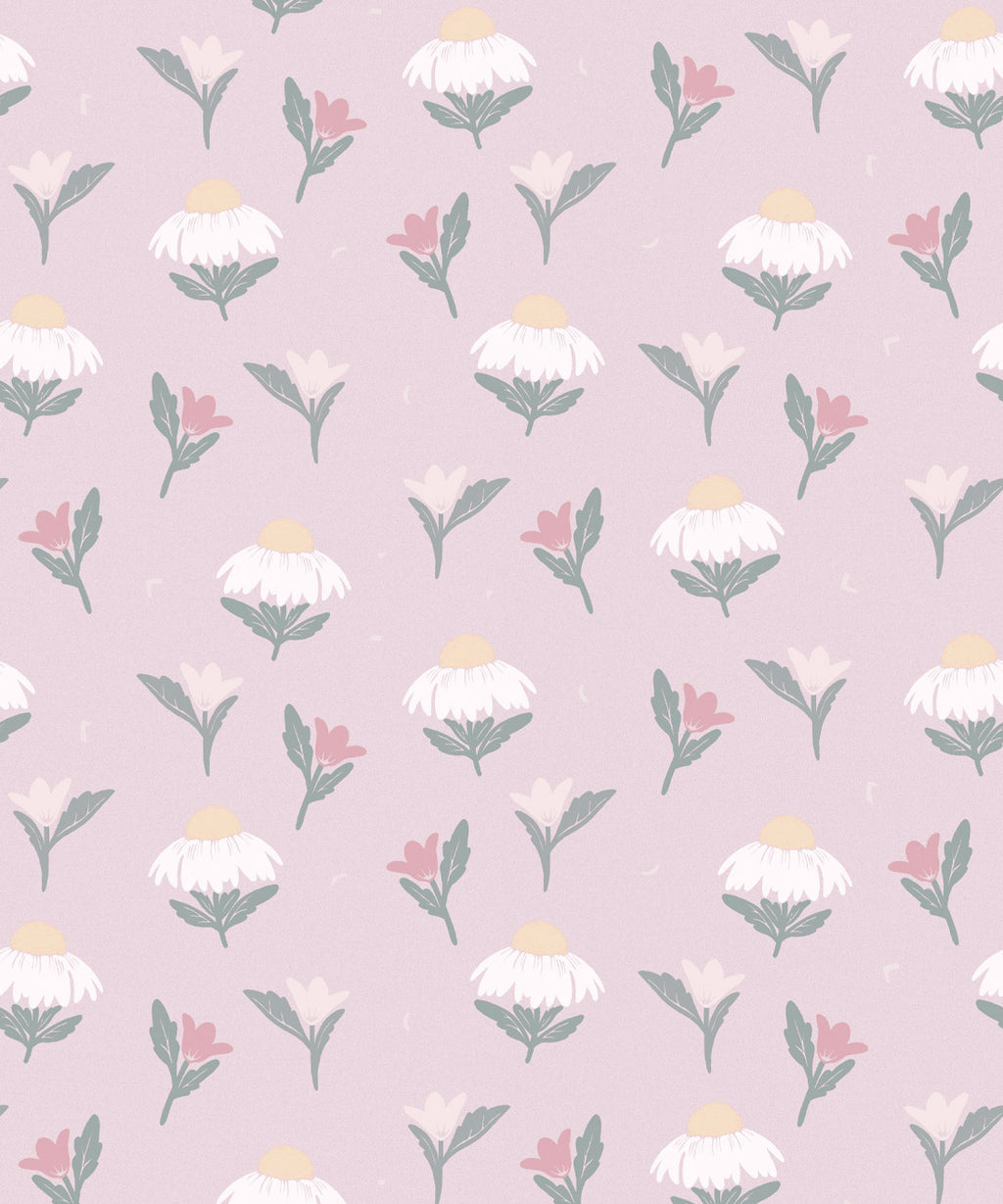 Daisy Wallpaper, Rose
