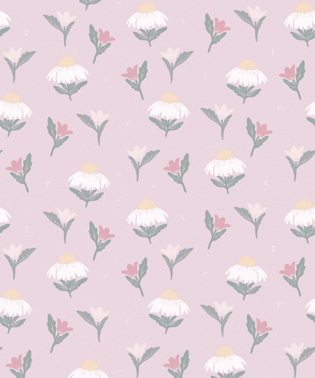 Daisy Wallpaper, Rose