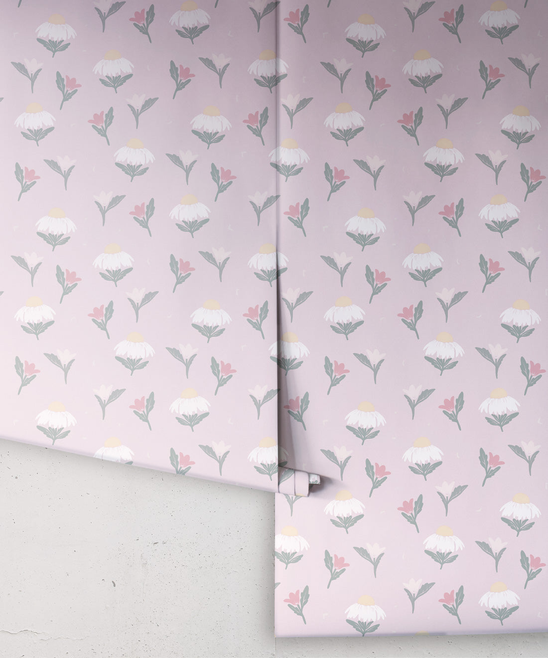 Daisy Wallpaper, Rose