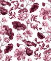 Golden Koi Wallpaper, Magenta