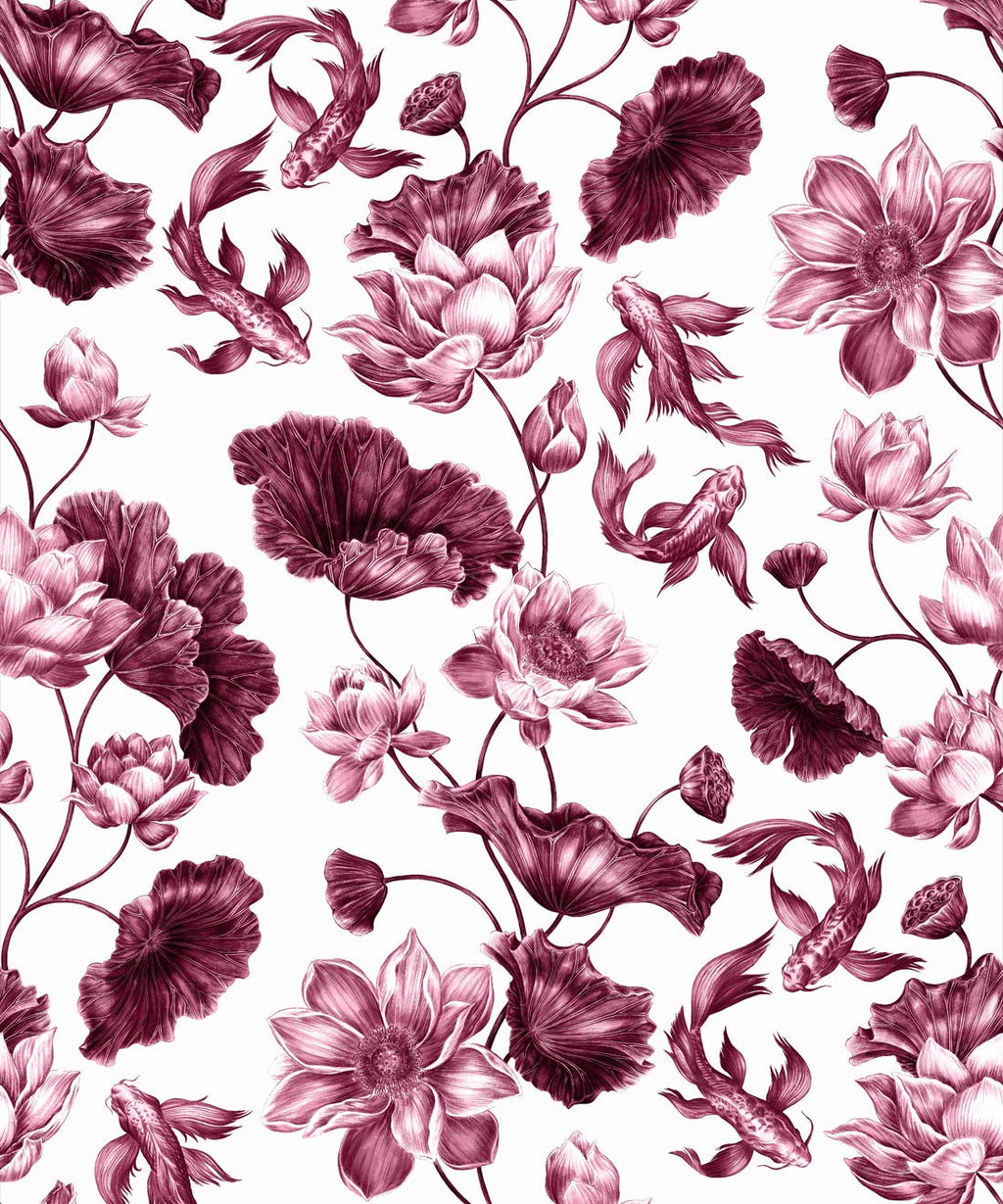 Golden Koi Wallpaper, Magenta