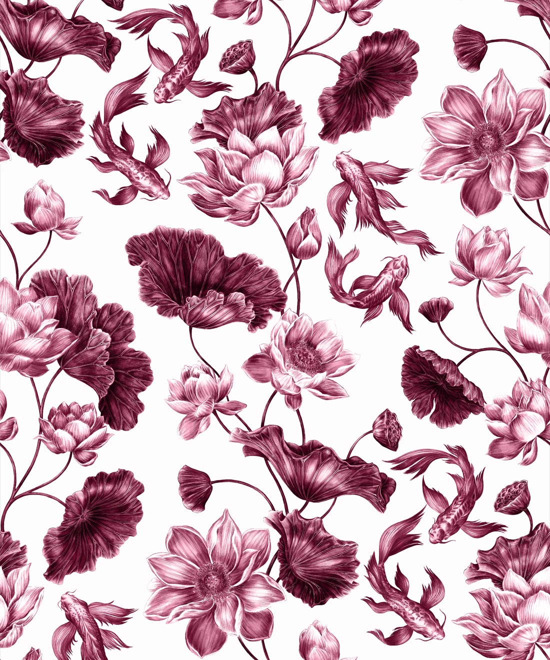 Golden Koi Wallpaper, Magenta