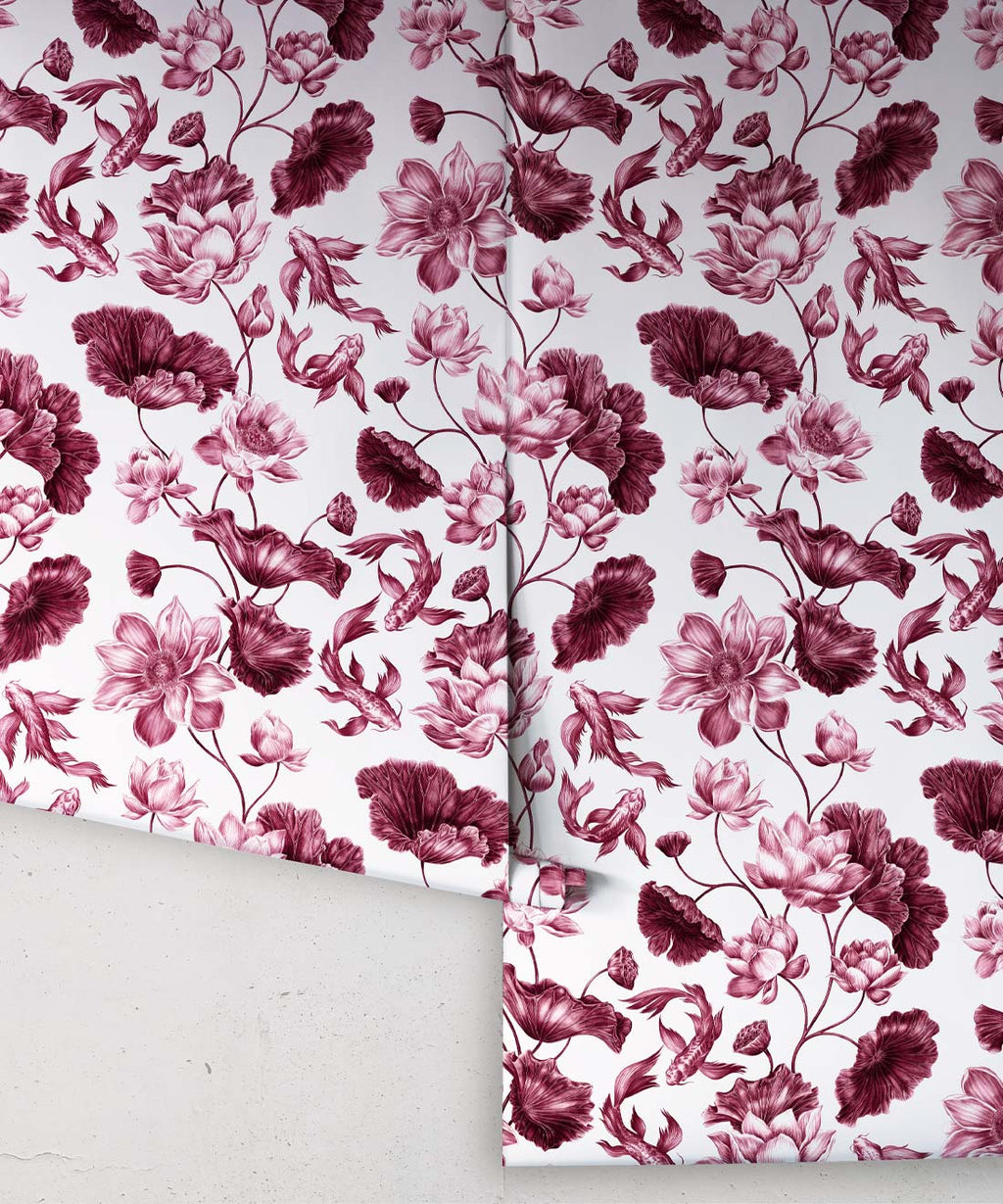 Golden Koi Wallpaper, Magenta