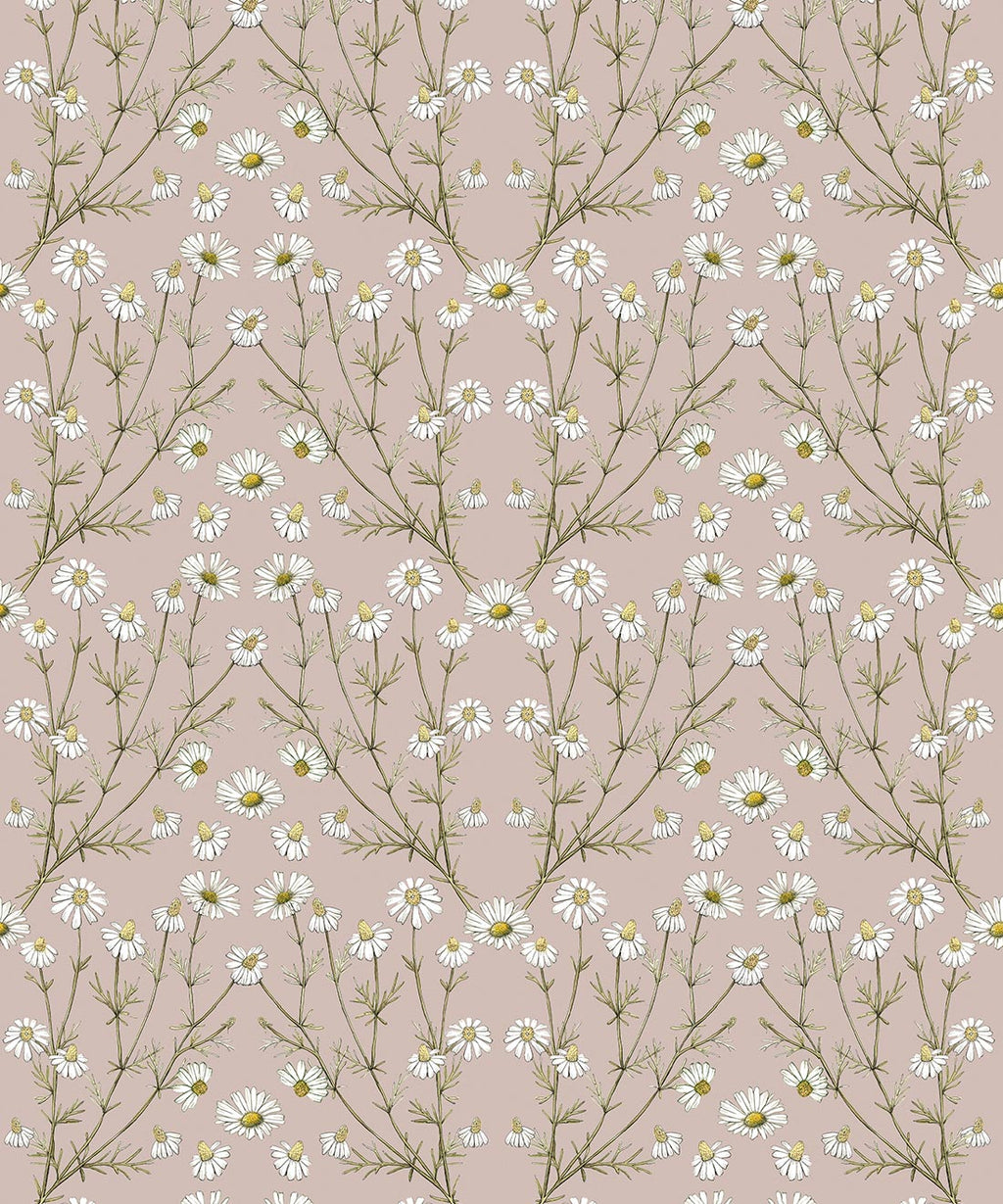 Daisy Damask Wallpaper, Dusty Pink