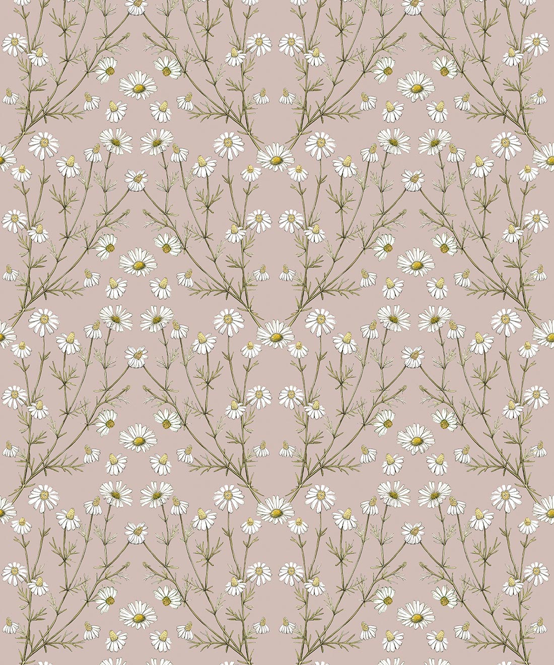 Daisy Damask Wallpaper, Dusty Pink