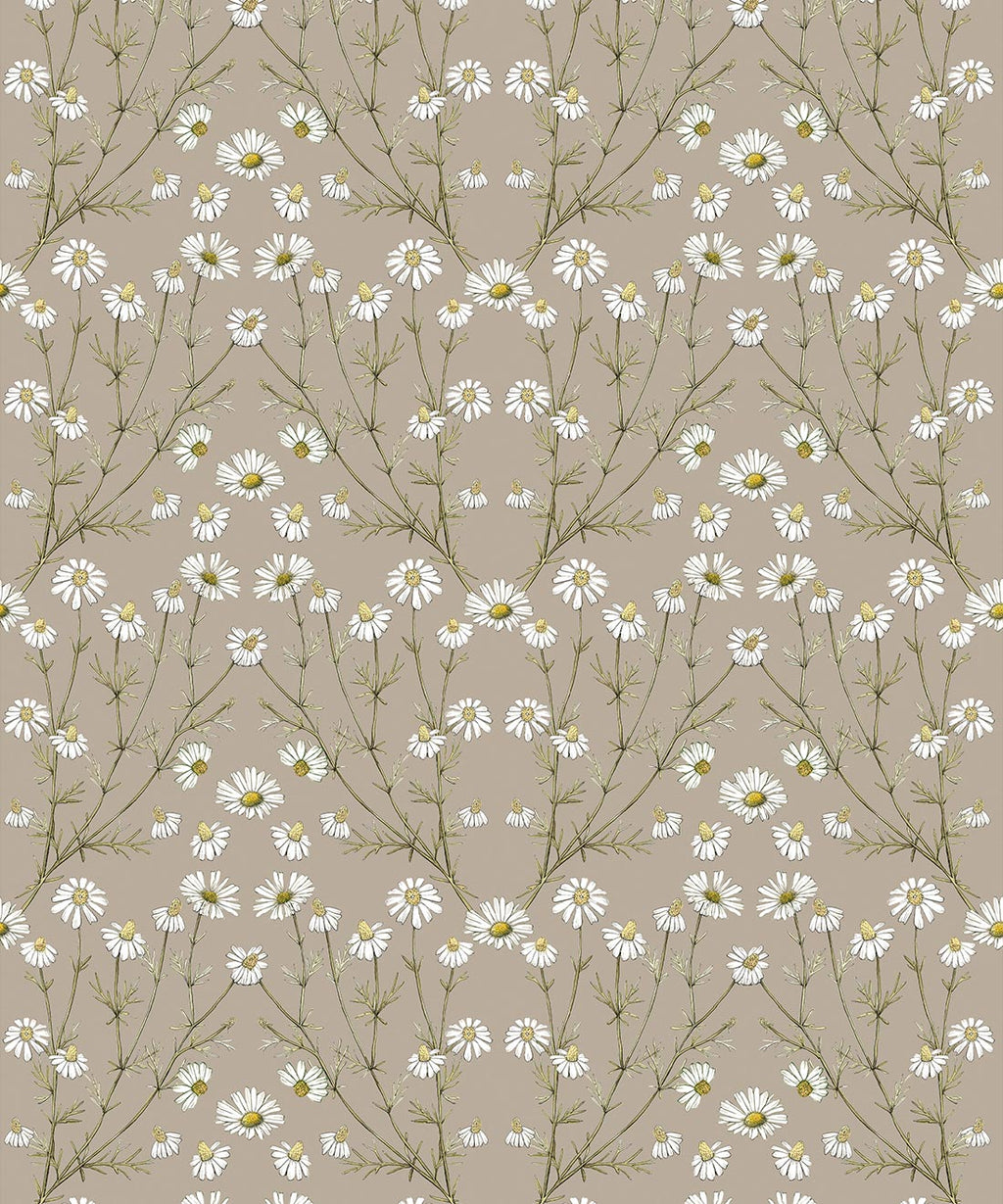 Daisy Damask Wallpaper, Linen