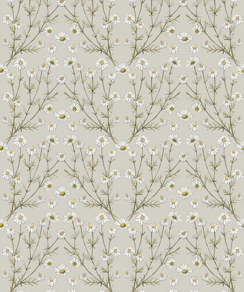 Daisy Damask Wallpaper, Stone