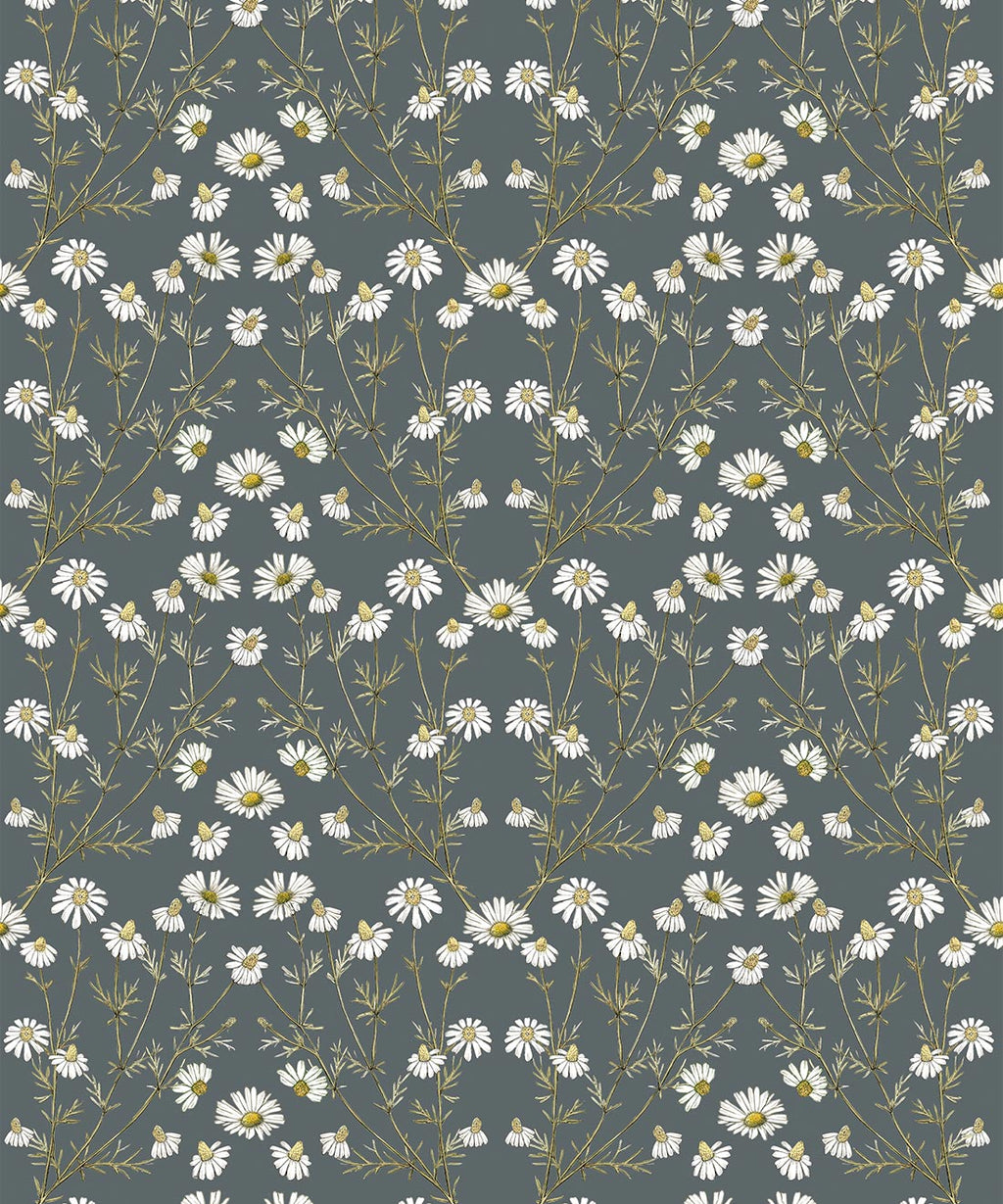 Daisy Damask Wallpaper, Slate grey