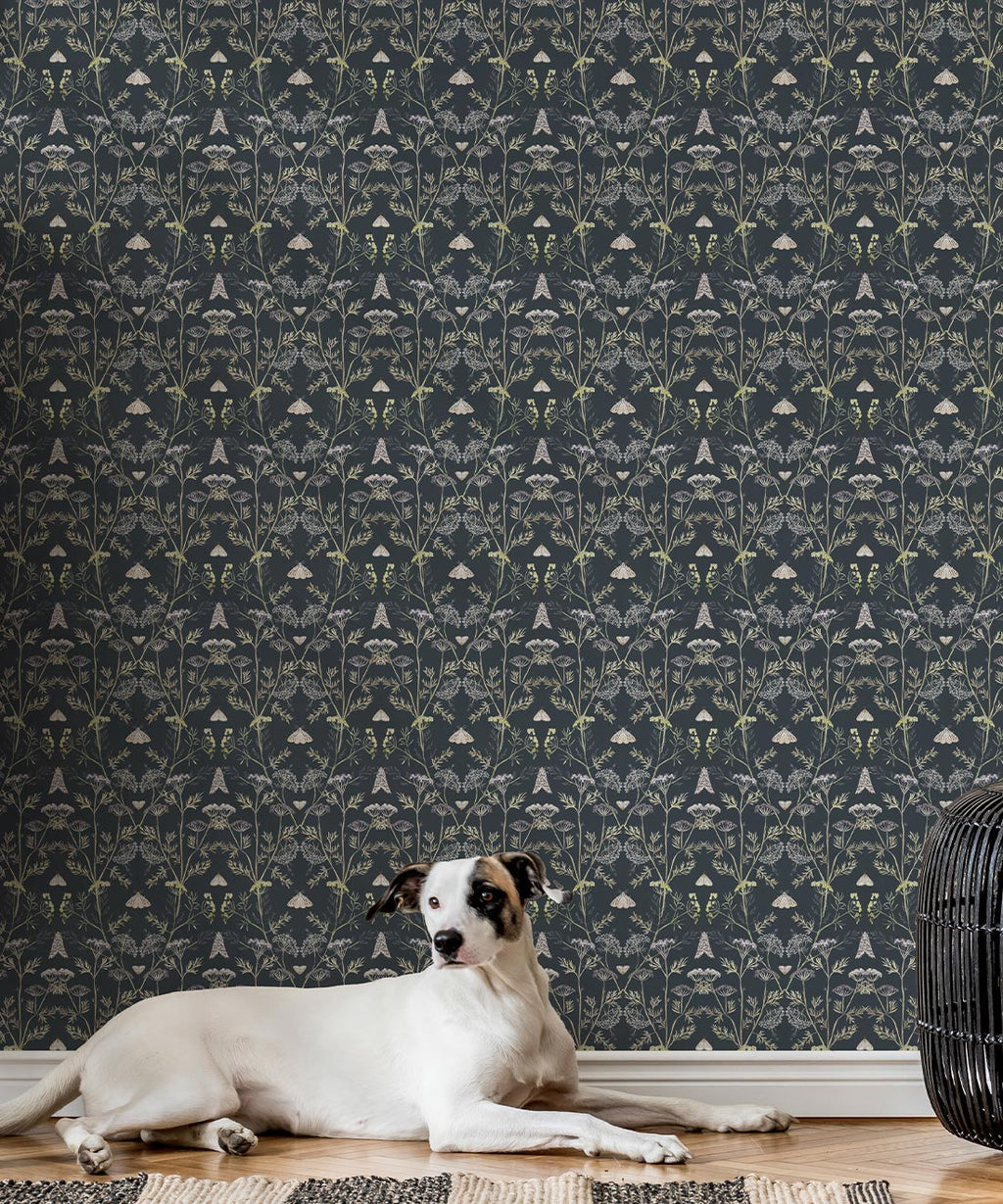 Queen Anne’s Lace Wallpaper, Charcoal