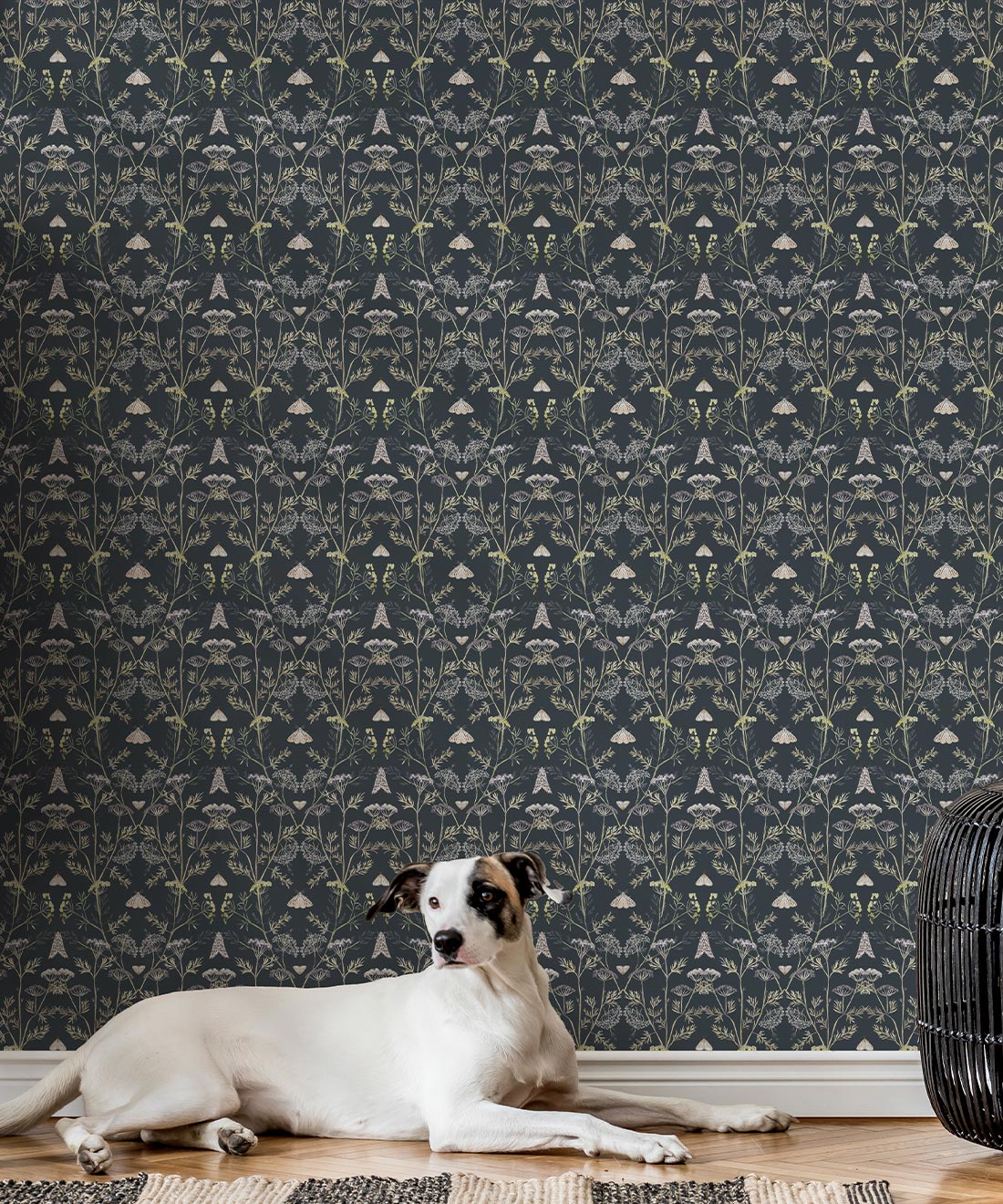 Queen Anne’s Lace Wallpaper, Charcoal