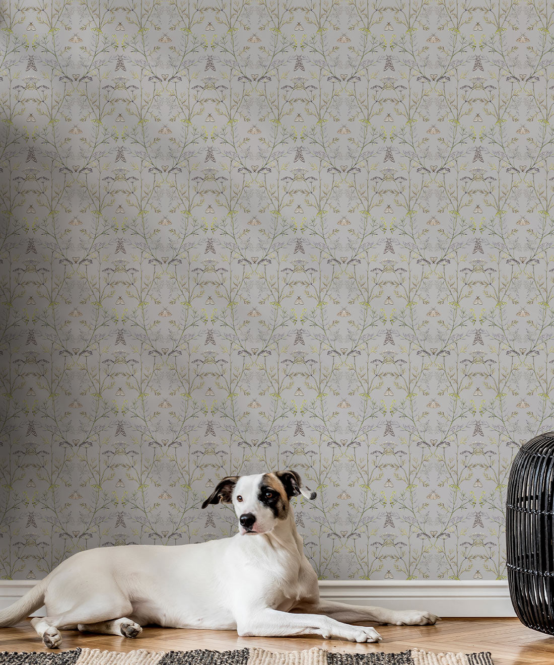 Queen Anne’s Lace Wallpaper, Dusty Blue