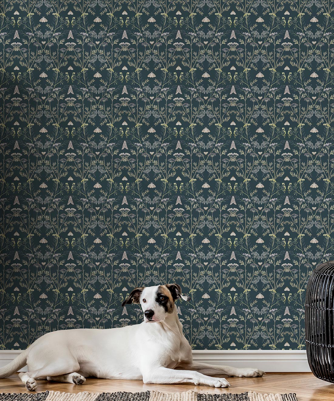 Queen Anne’s Lace Wallpaper, Emerald