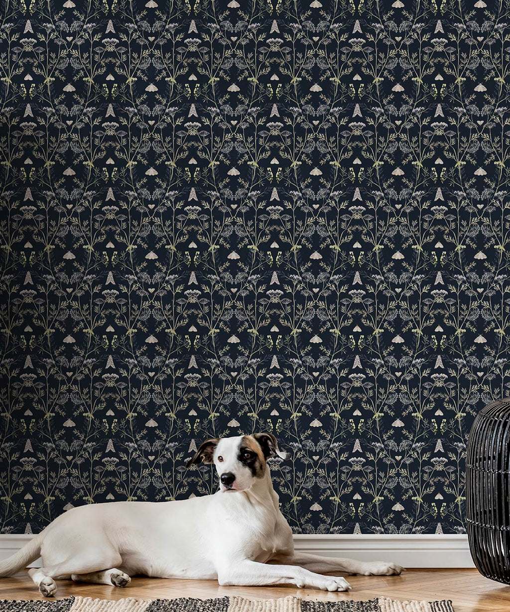Queen Anne’s Lace Wallpaper, Navy