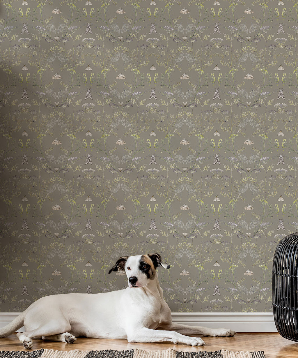 Queen Anne’s Lace Wallpaper, Sage Grey