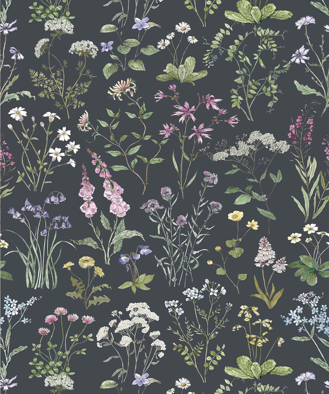 Wild Meadow Wallpaper, Charcoal