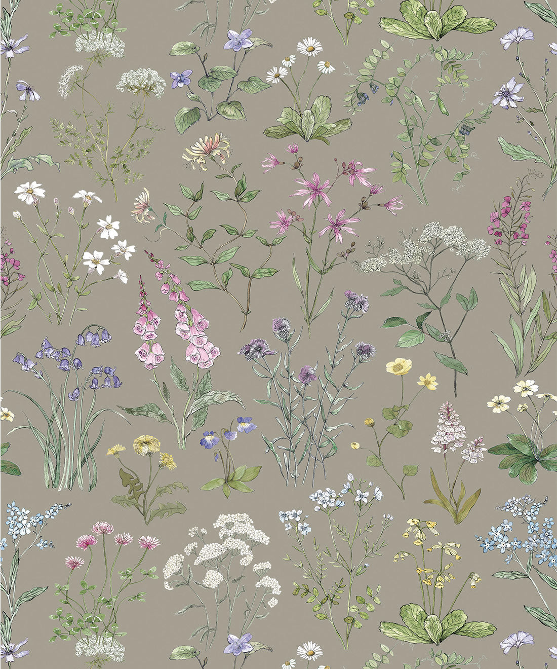 Wild Meadow Wallpaper, French Grey