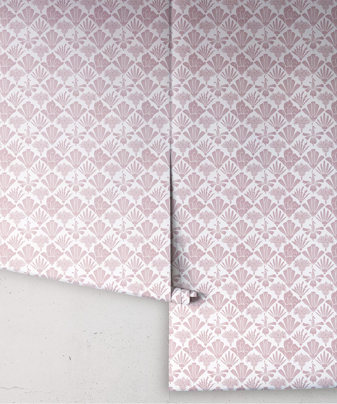 Fanned Flowers Wallpaper, Rose
