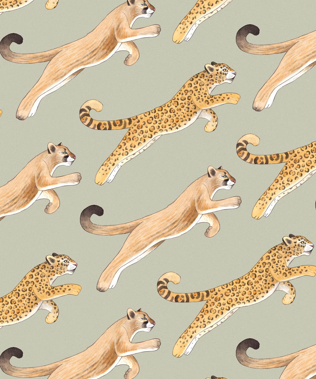 Amazon Big Cat Wallpaper, Olive
