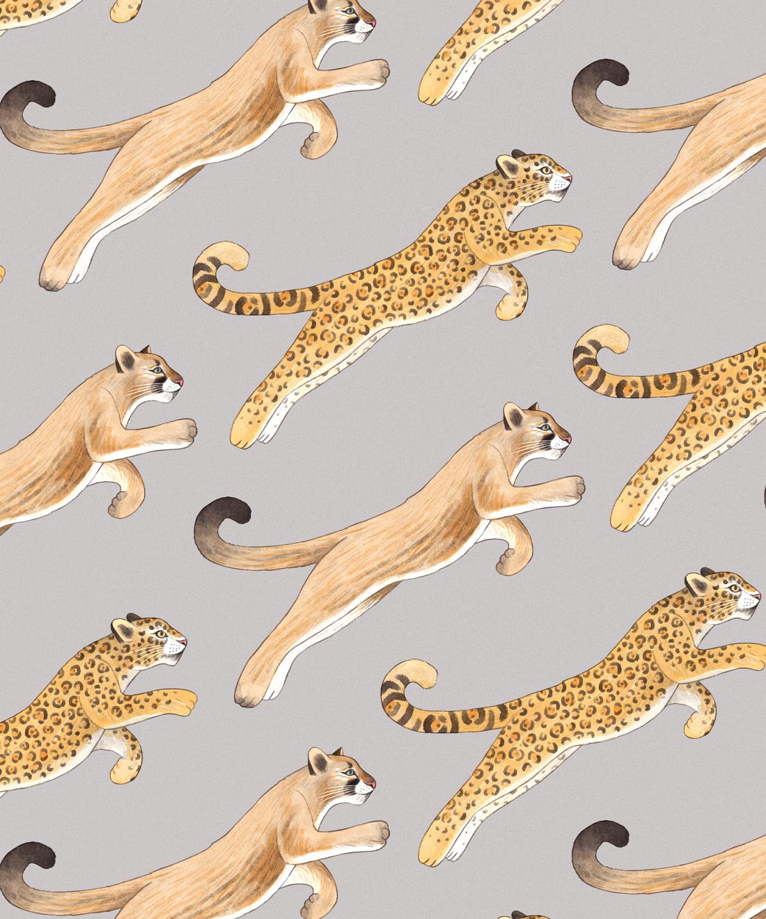 Amazon Big Cat Wallpaper, Warm Grey