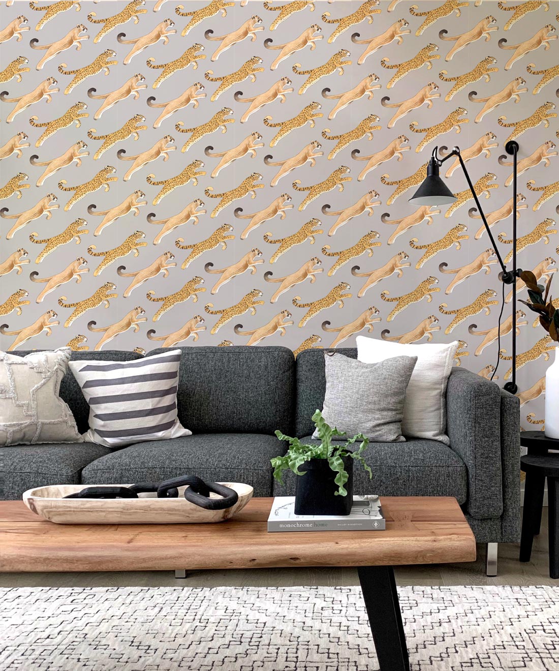 Amazon Big Cat Wallpaper, Warm Grey