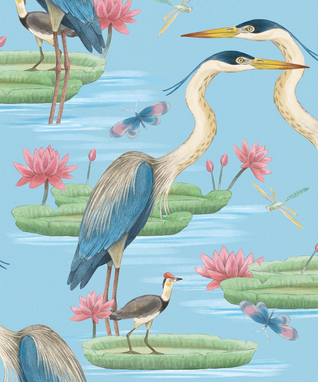 Heron, Jacana & Giant Lilypad Wallpaper, Blue Sky