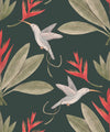 Hummingbirds & Heliconias Wallpaper, Forest Green